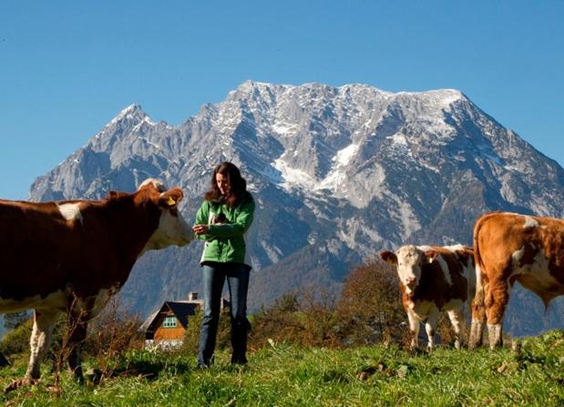 Apartamento Grubbauernhof Aigen im Ennstal Exterior foto
