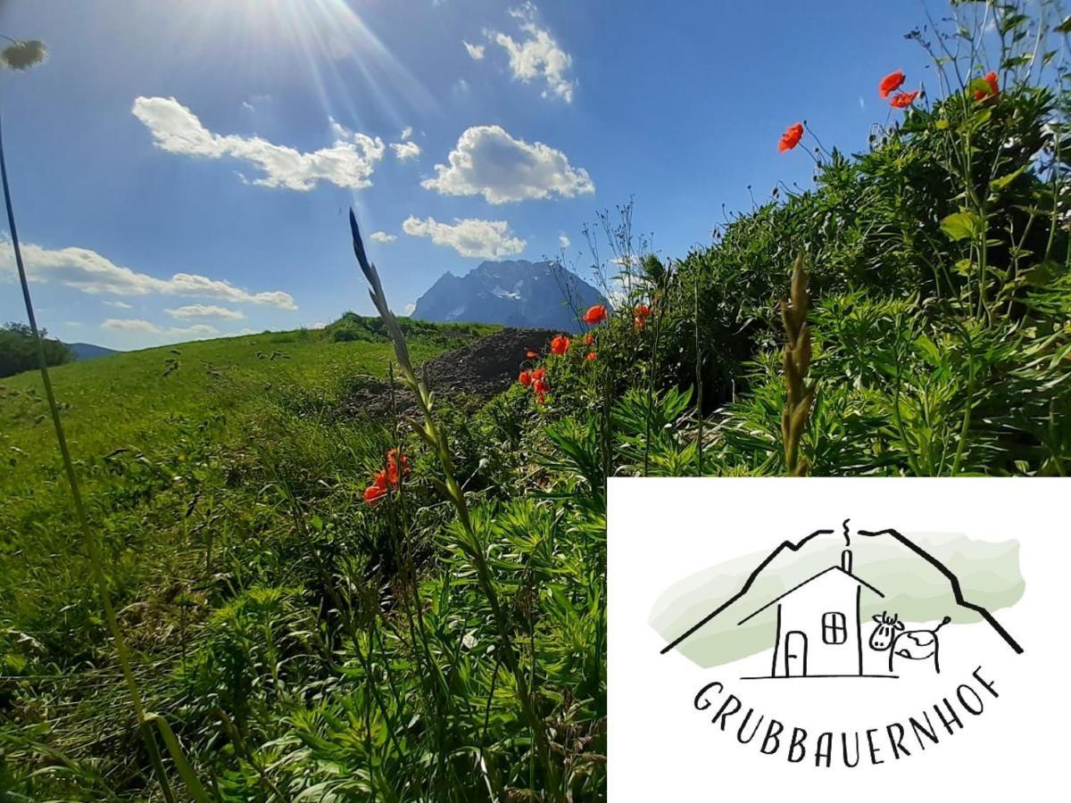 Apartamento Grubbauernhof Aigen im Ennstal Exterior foto